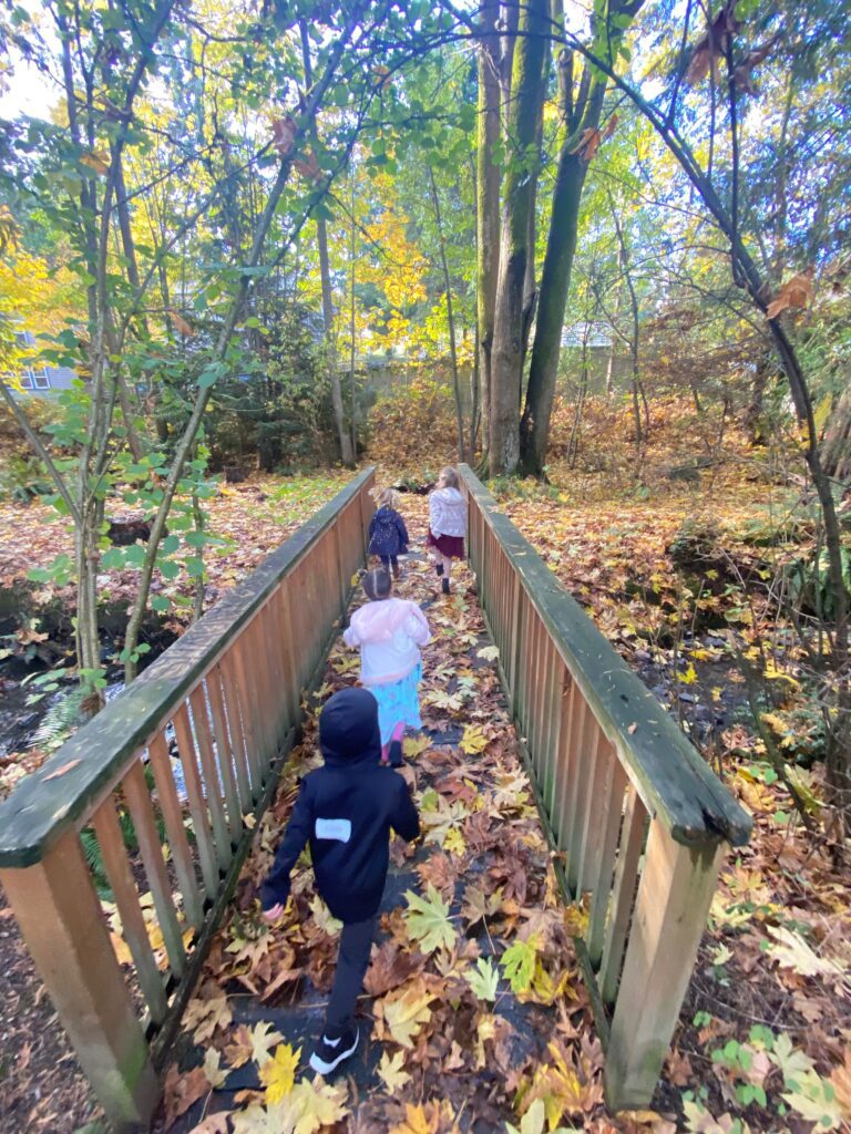 Photo of four children running across a bridge over a creek, in a forest with fall leaves on the ground.