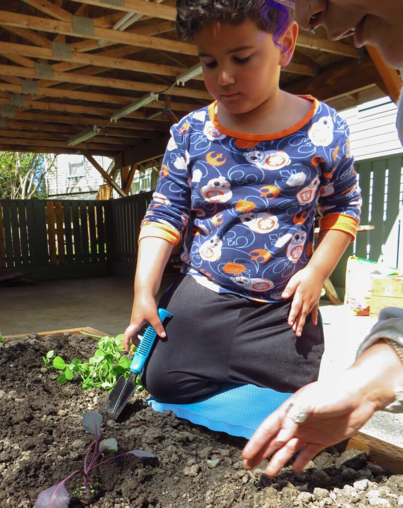 Photo of a young boy planting a plant in a garden bed.